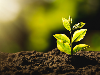sustainability