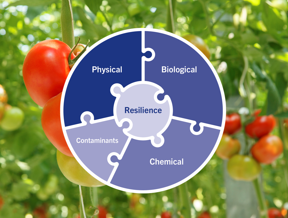 agro-horti-puzzle-with-tomatos