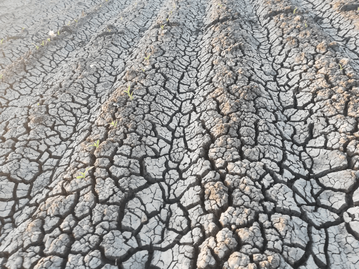 agro-dry-dried-soil-field-drought-web