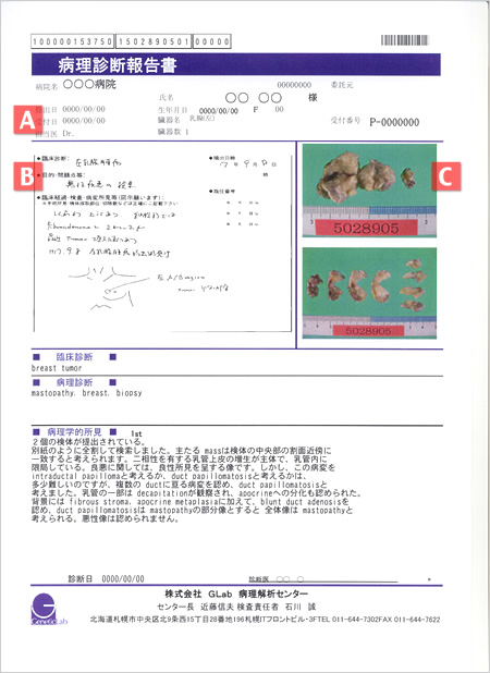 病理組織検査報告書