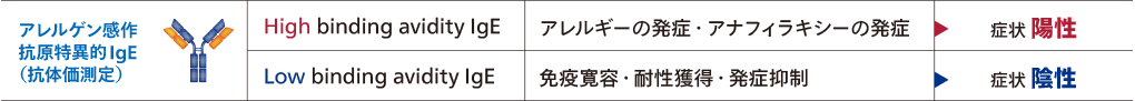 Point 1 特異的IgE抗体には、症状を呈する高親和性抗体と症状を呈さない低親和性抗体があります1),2)