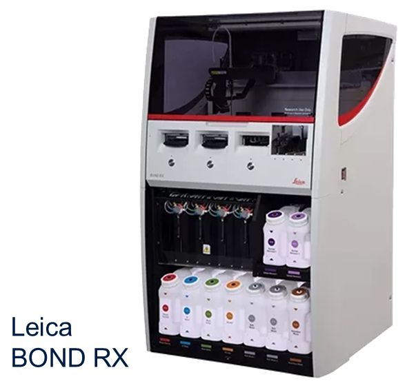 Leica BOND RX