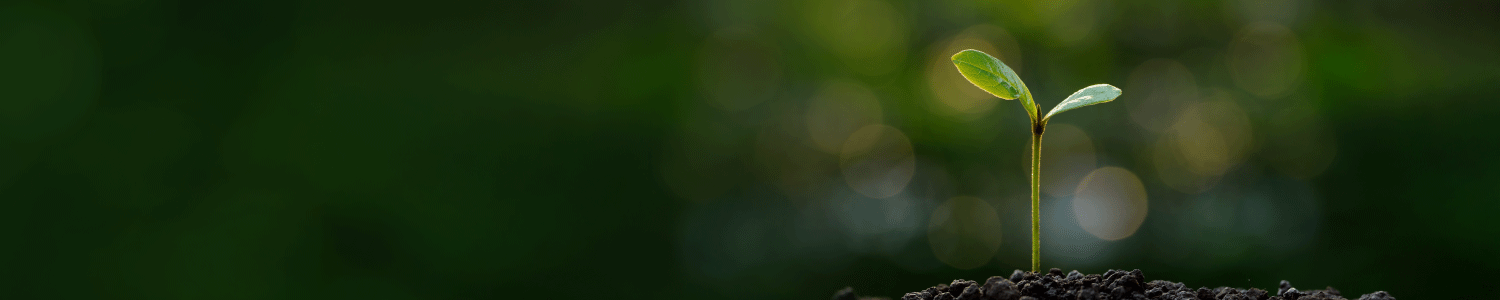 homepage-banners_gss_1500x300-leaf