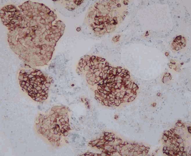 c049a