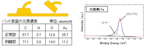 剥離箇所の近くでは炭素(有機物)が多く検