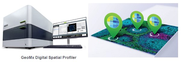 GeoMx Digital SpatialProfiler 画像