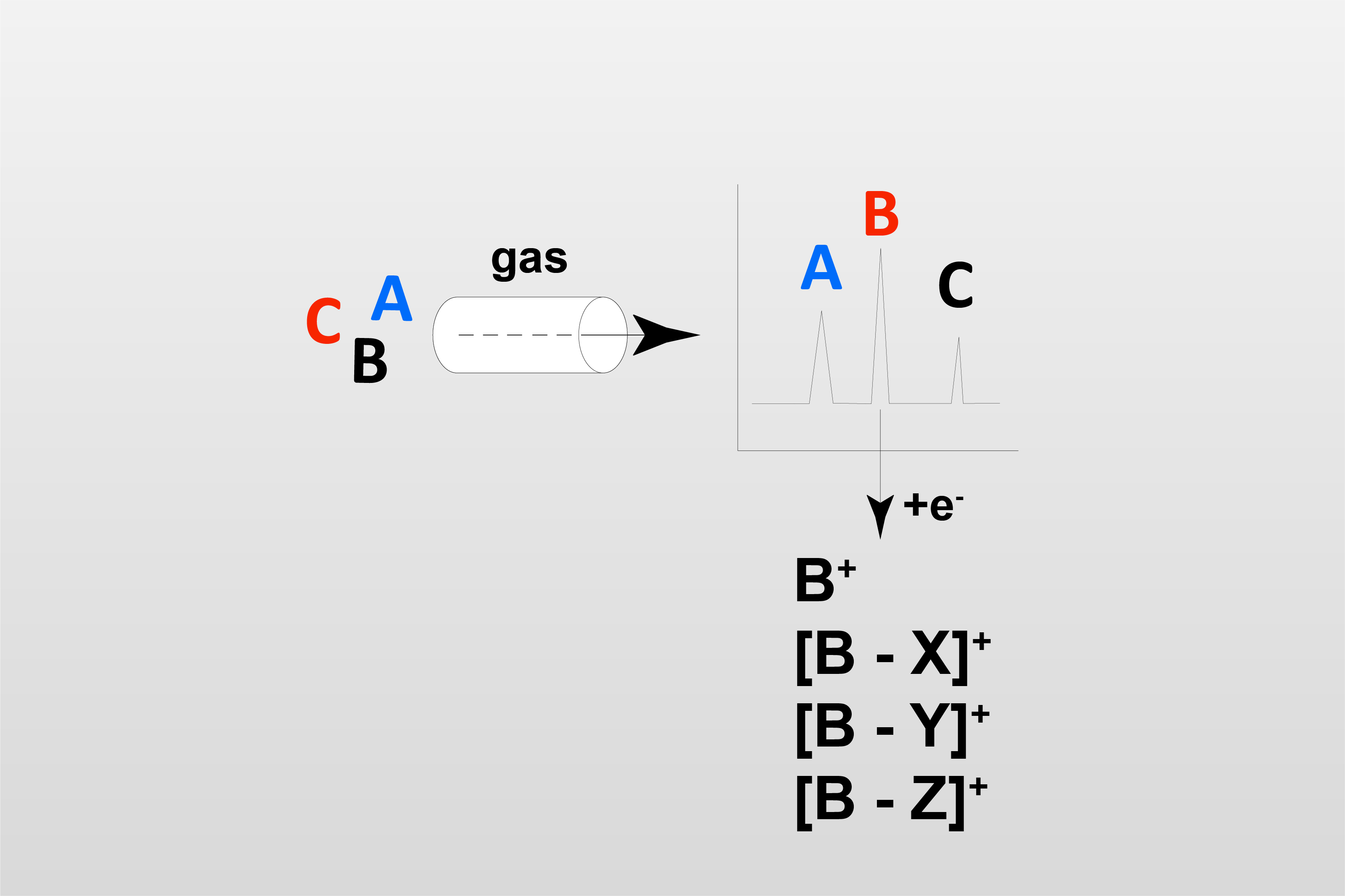 GC-MS