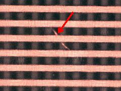 j031b