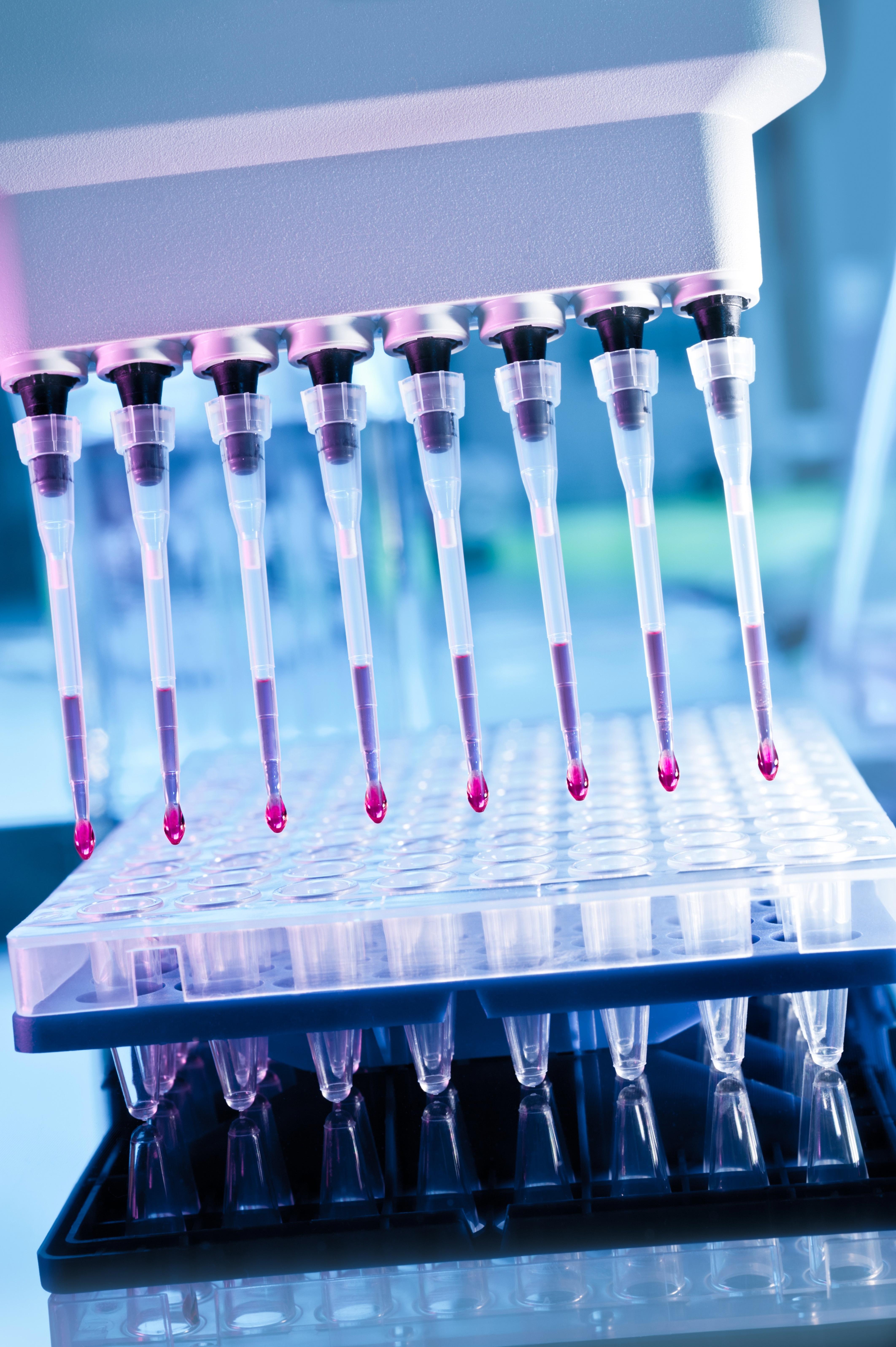metabolite-identification