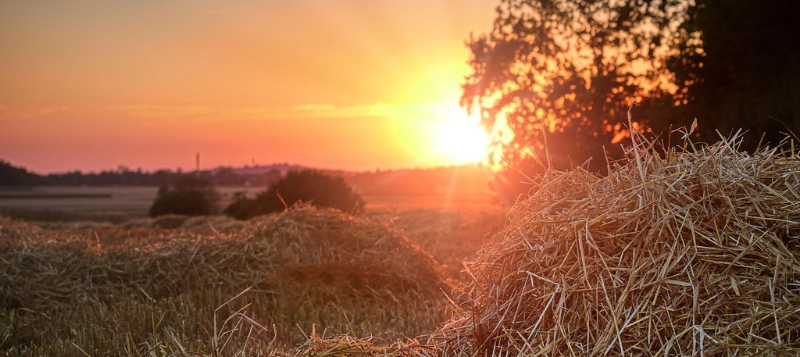 agro-sunsethay800x357