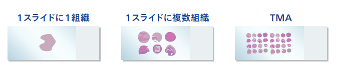 解析に必要なFFPE1スライド例