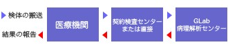 検体の流れ