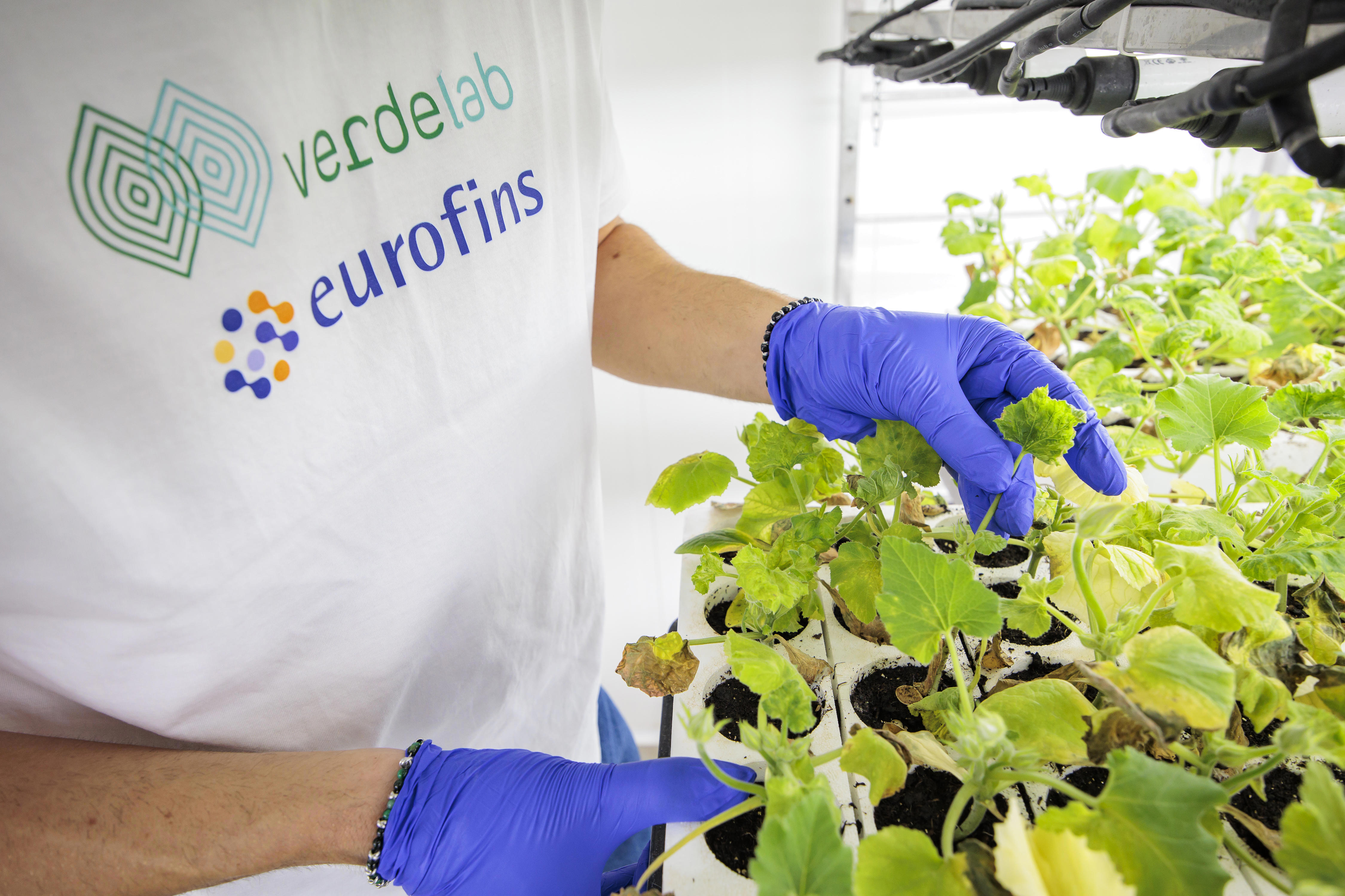 agro-seed_health-testing