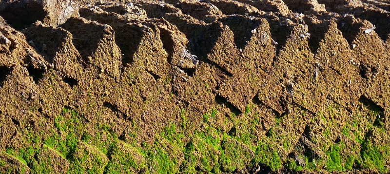 agro-peat800x357