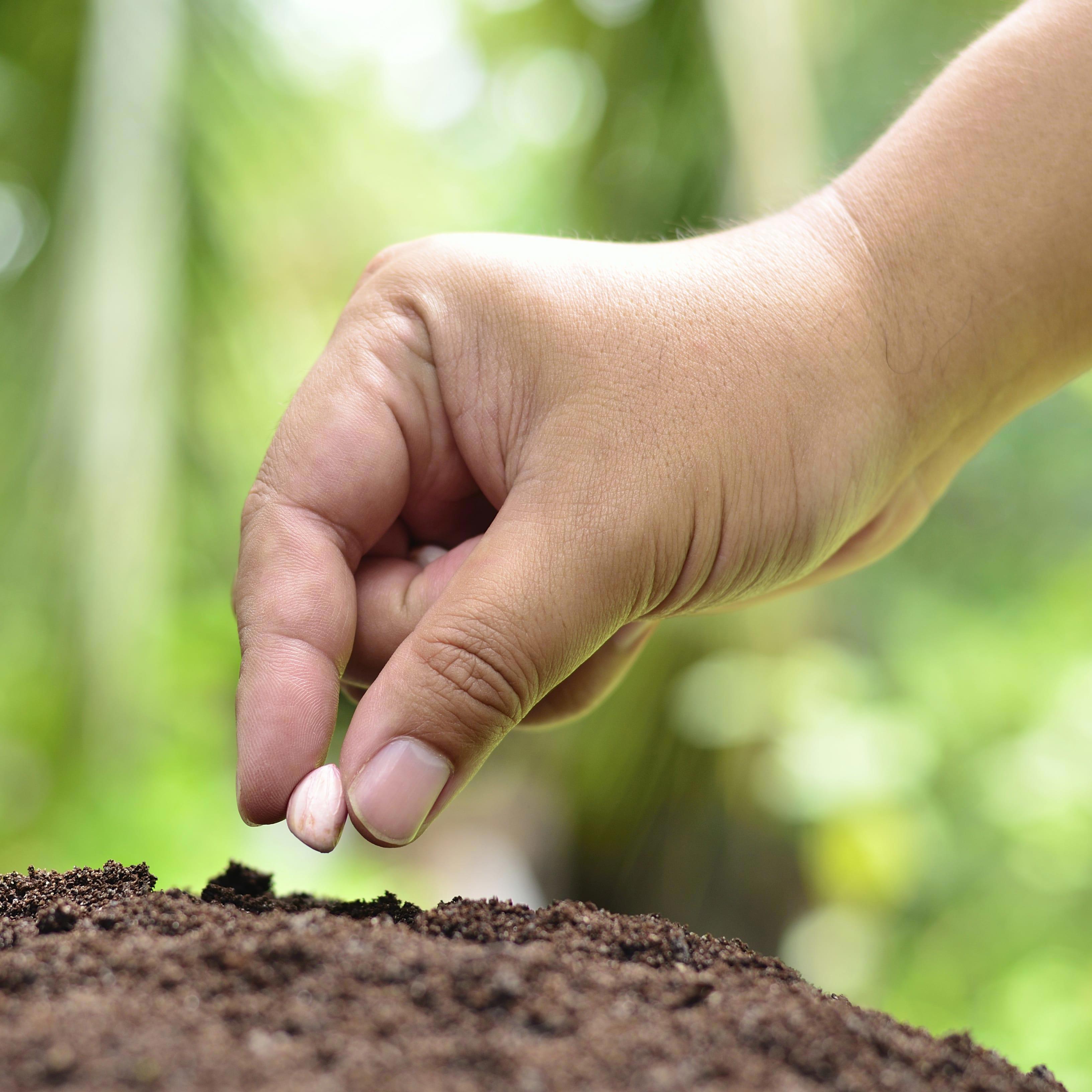 agro-seed-hand-soil