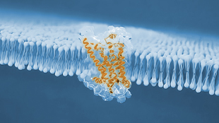 gpcr1_small-card-image_target-based-assays