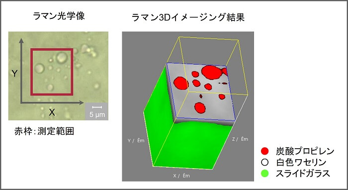 軟膏成分炭酸プロピレン液滴の分散状態確認