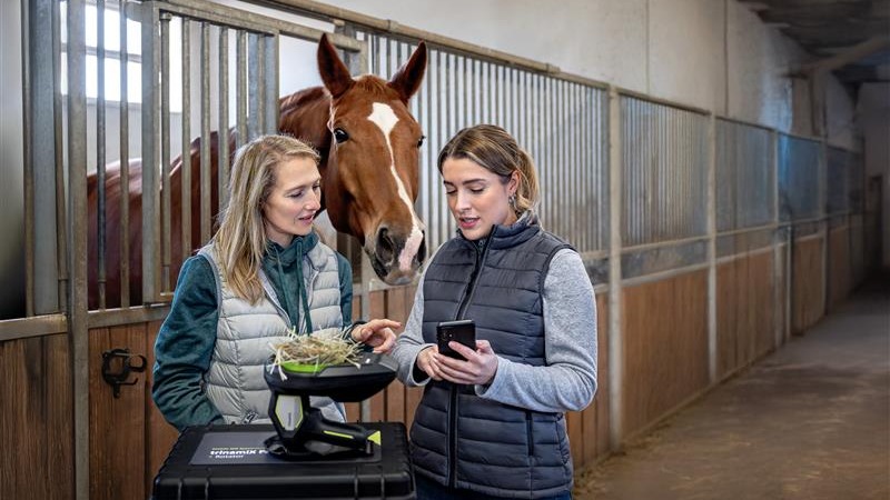 agro-on-farm-solutions-horse-inside-stable-trinamix-pal-two