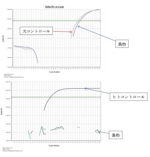 異物分析事例