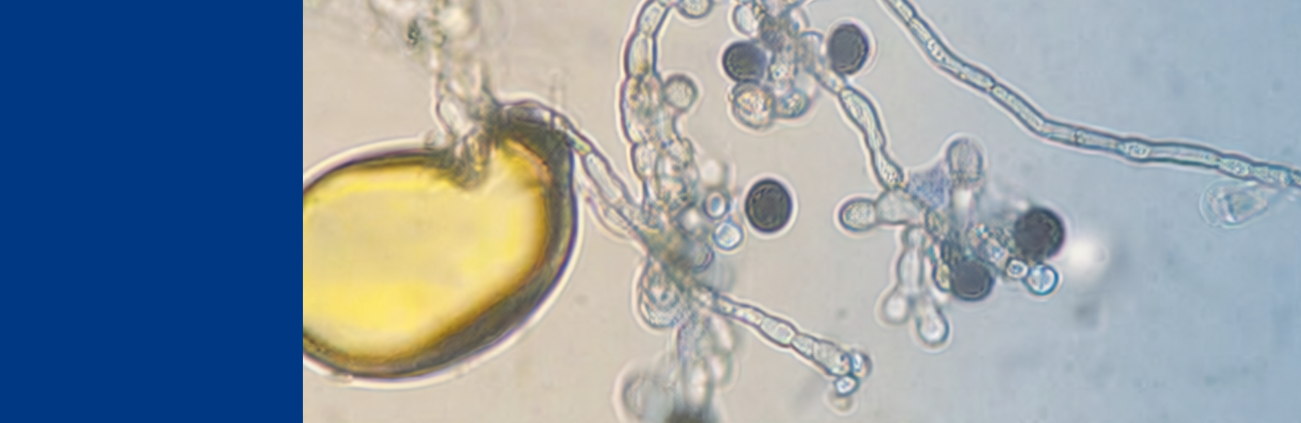 soil-health-solutions-banner (1)