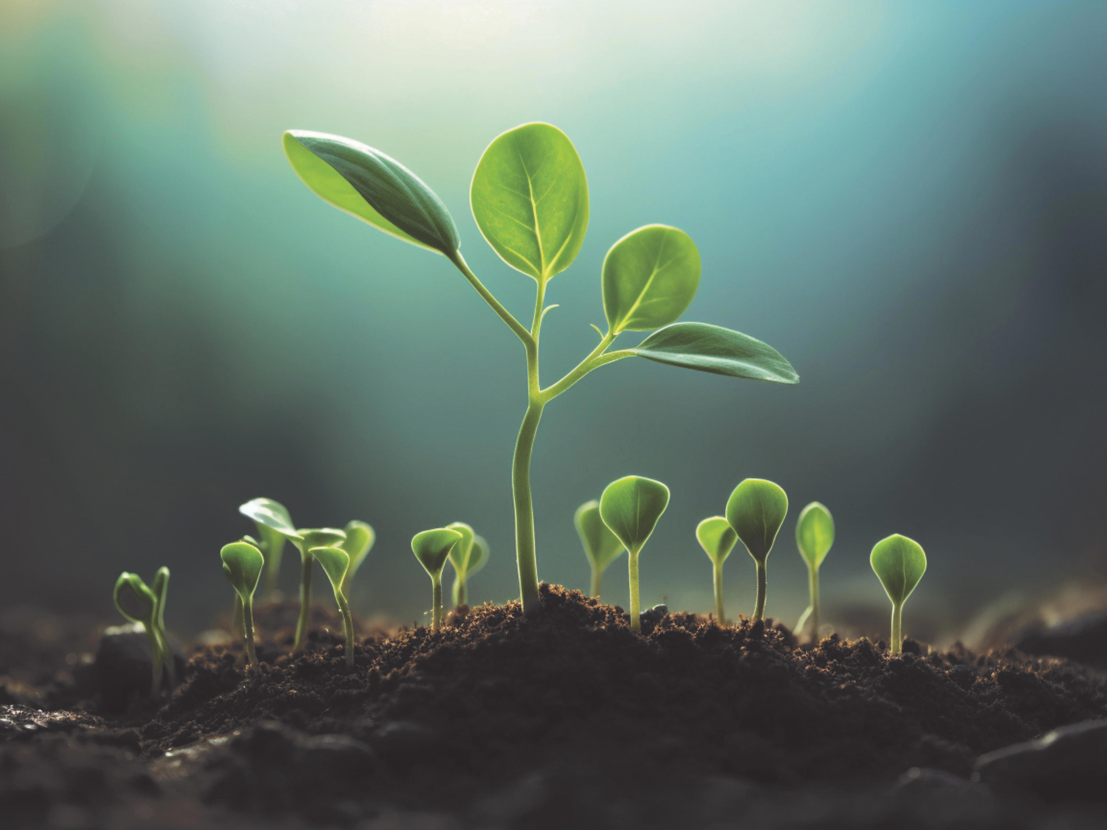 biological-innovation