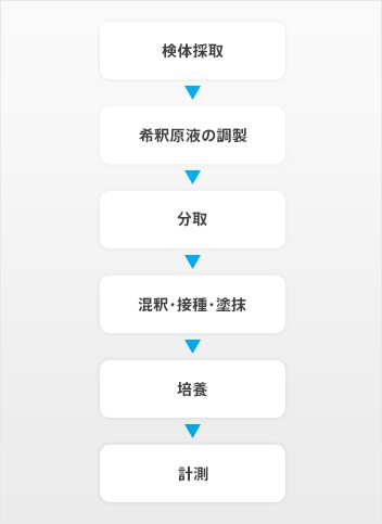 定量分析