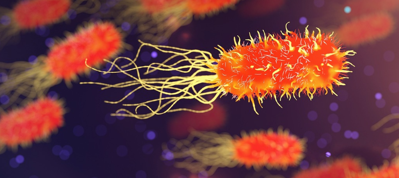 agro-bacteria-red800x357