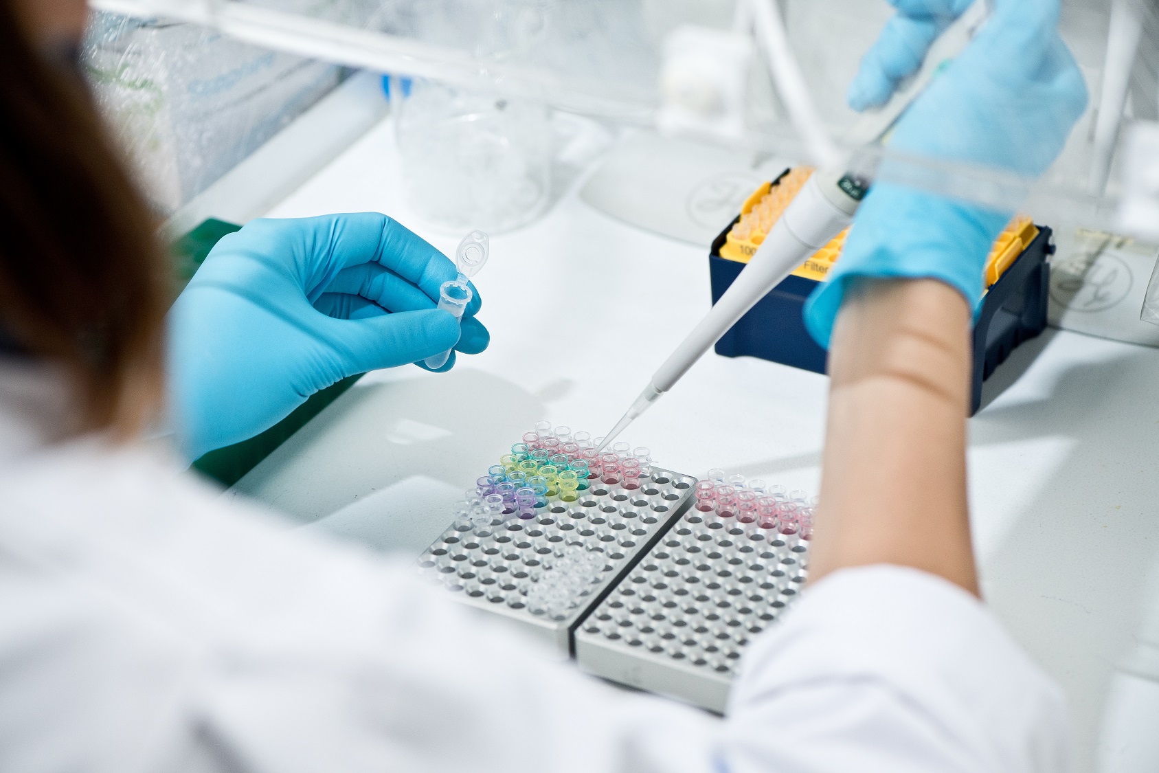 agro-lab-dna-multiscan-work-up-pipette