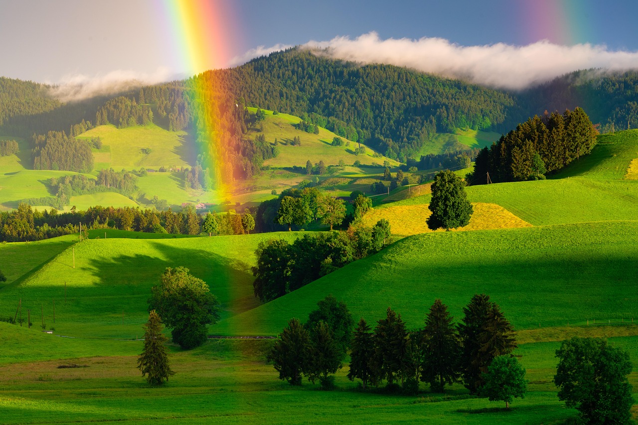 agro-rainbow-grass