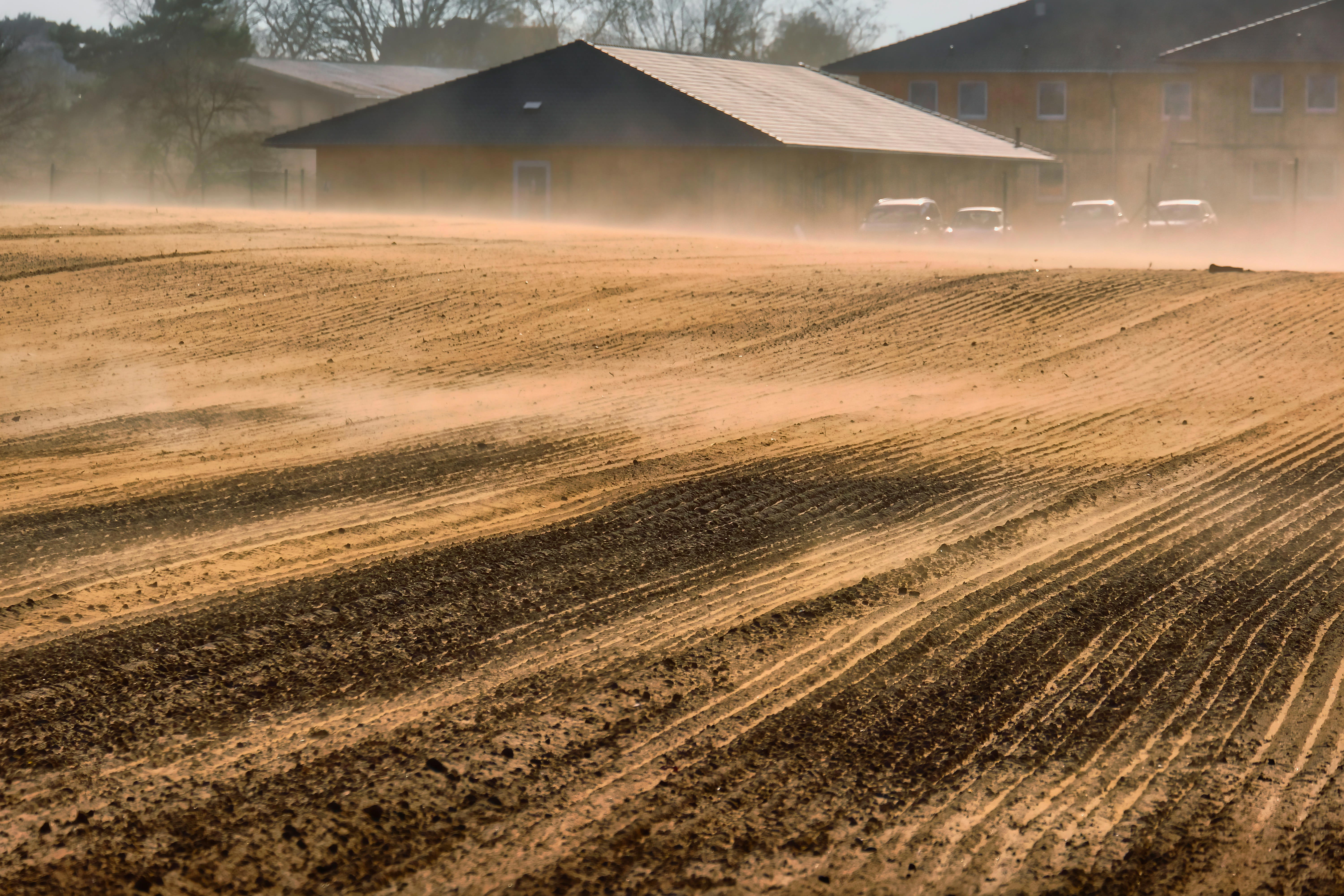 dust