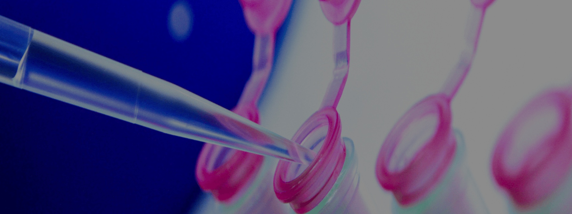microbiome-profiling-banner-dark-1920x720