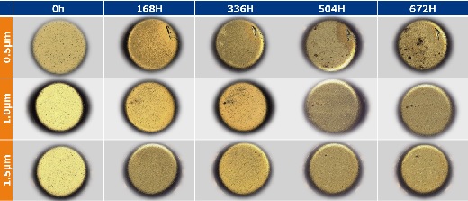 金メッキ厚さ別テストピースの腐食確認