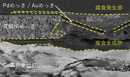 断面解析