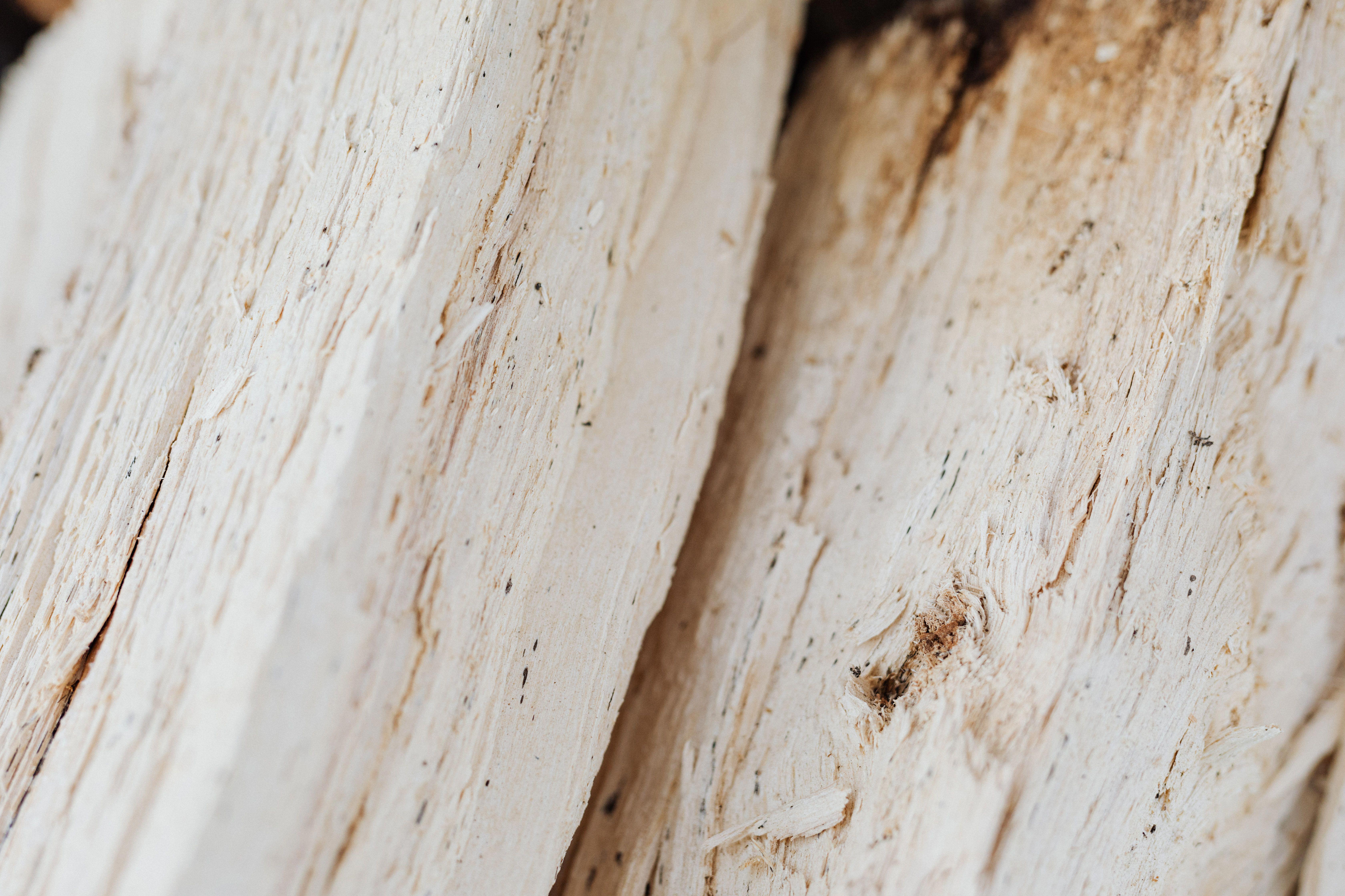 asbestos (1)