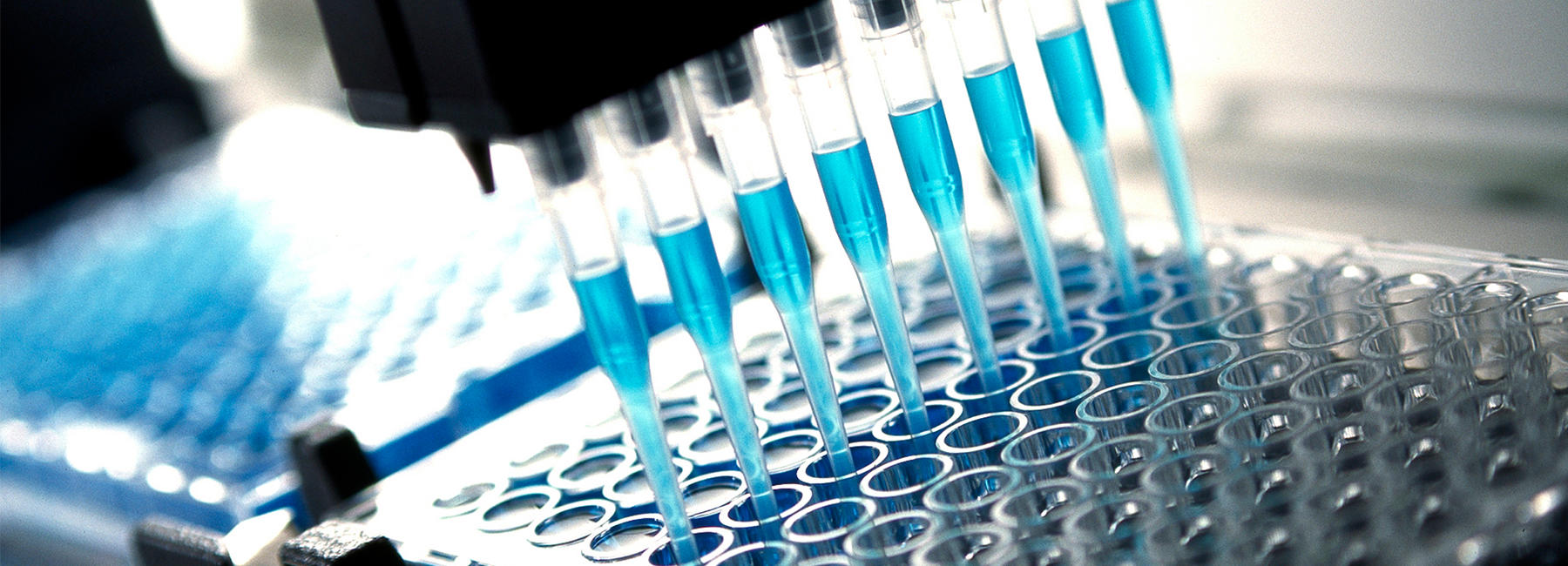 ecd_web-content_infectiousd_2