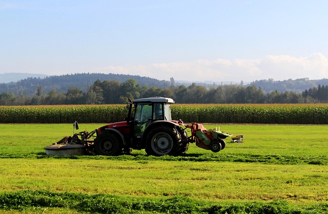agro-tractor-red-mowing-grass-cornfield