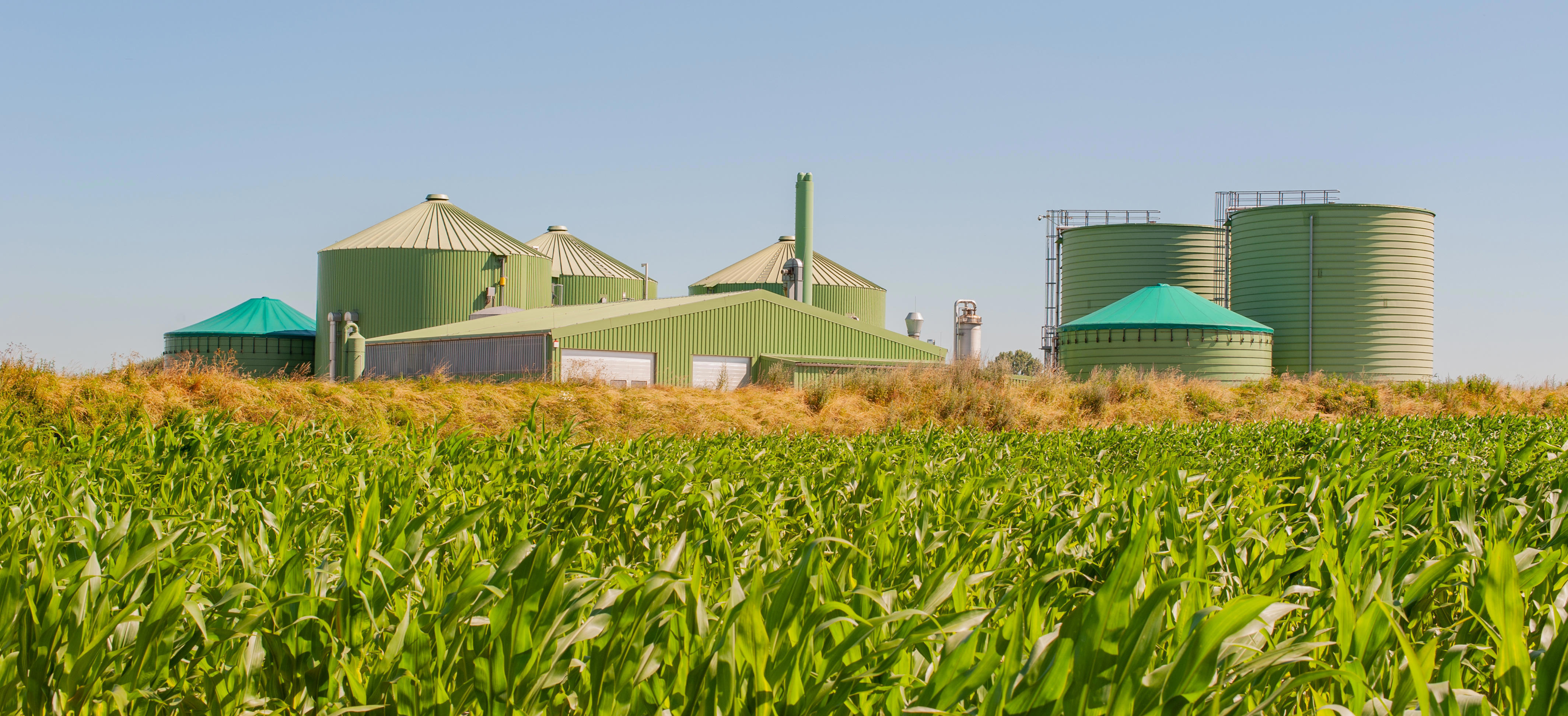 agro-biogas-installation (1)