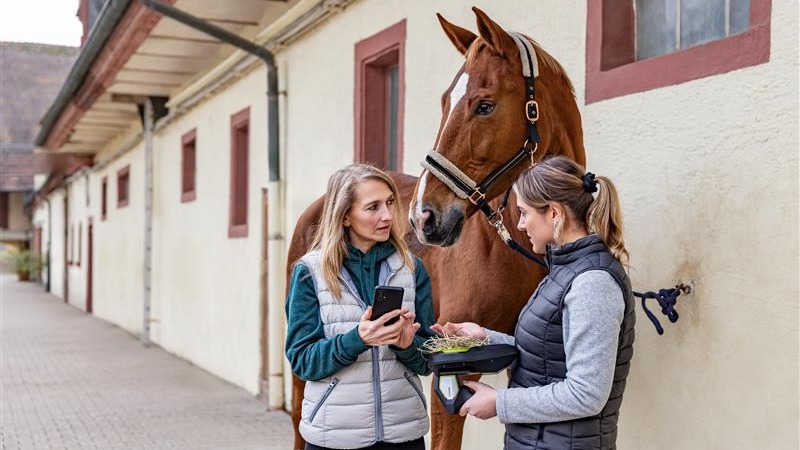agro-on-farm-solutions-horses-trinamix-pal-two