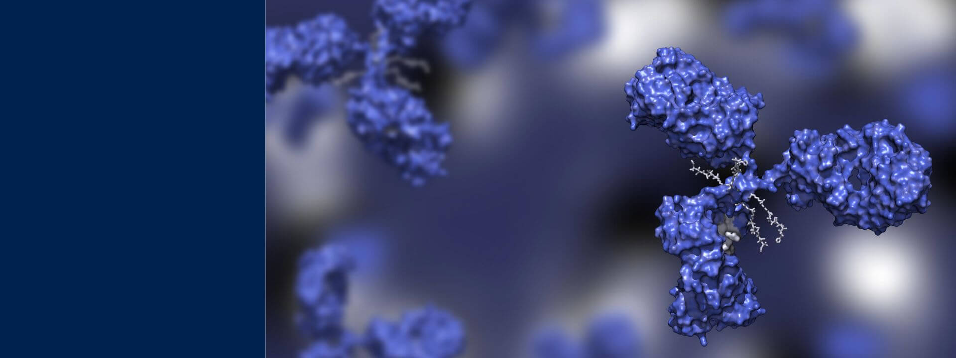 特性解析_サービスバナー