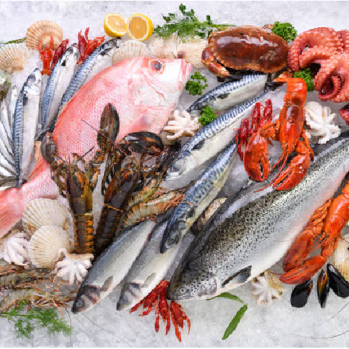 seafood