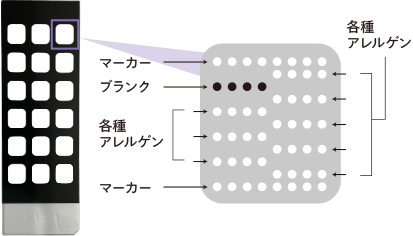 DCPチップの構造図とウェル内
