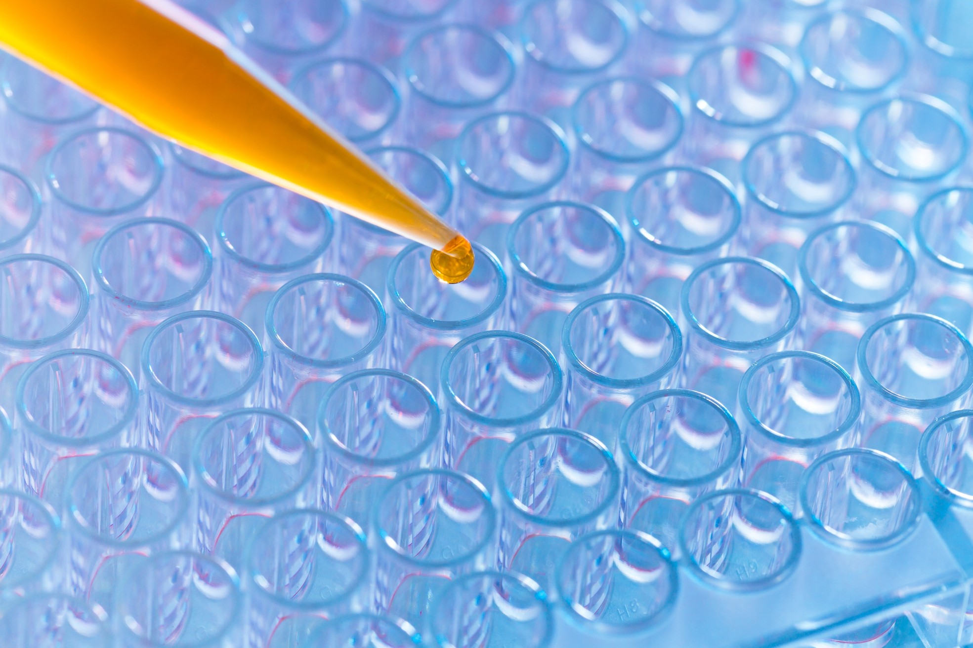 picture2dfndfhn-pipette