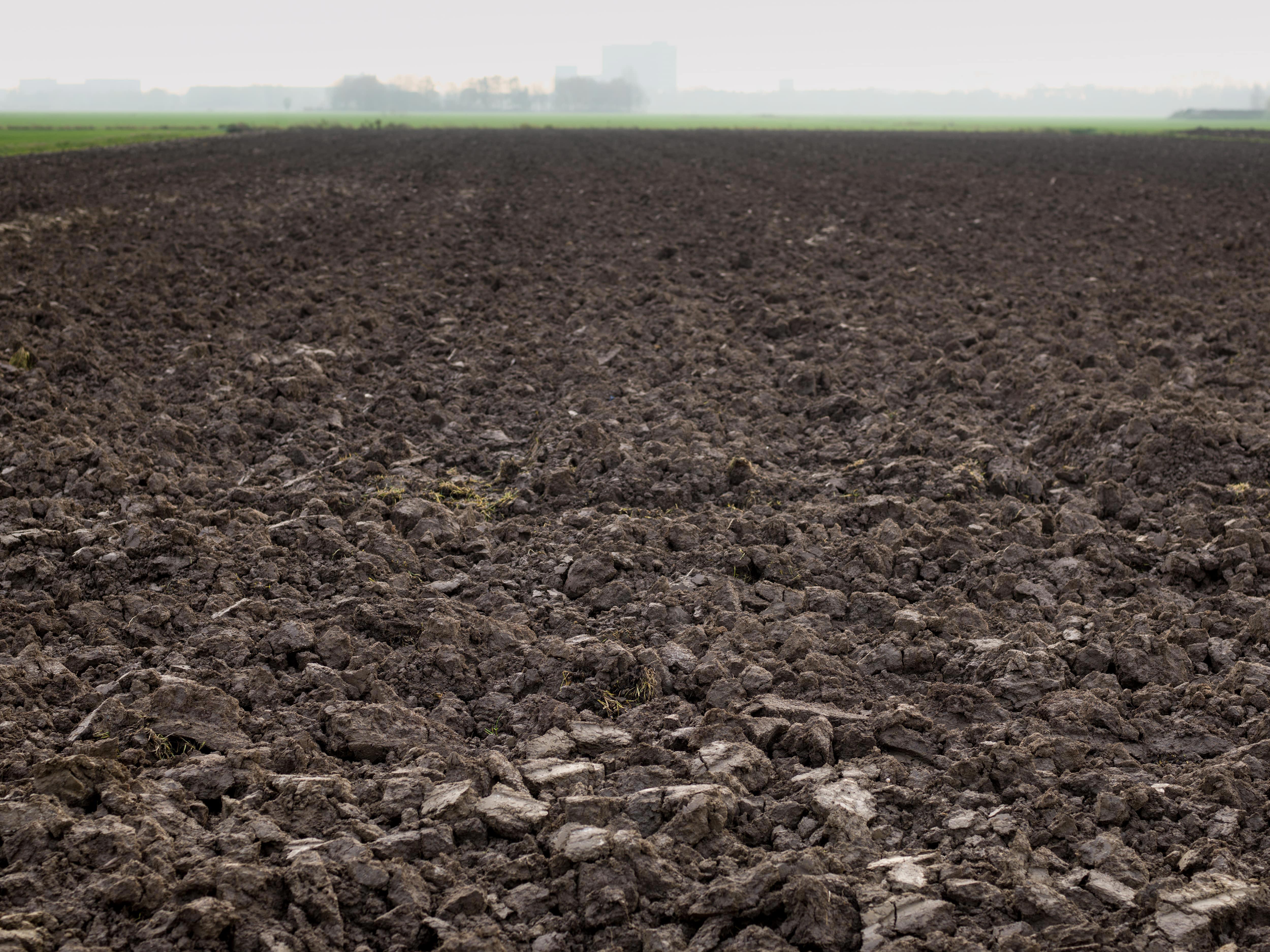 agro-soil-field (1)