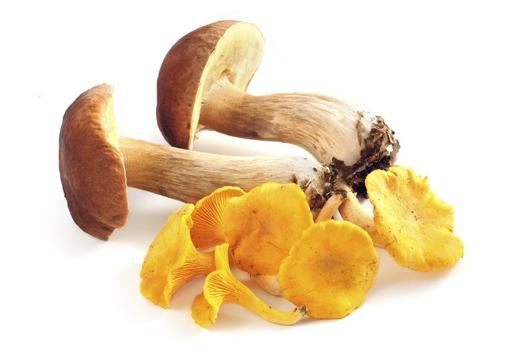 h039f