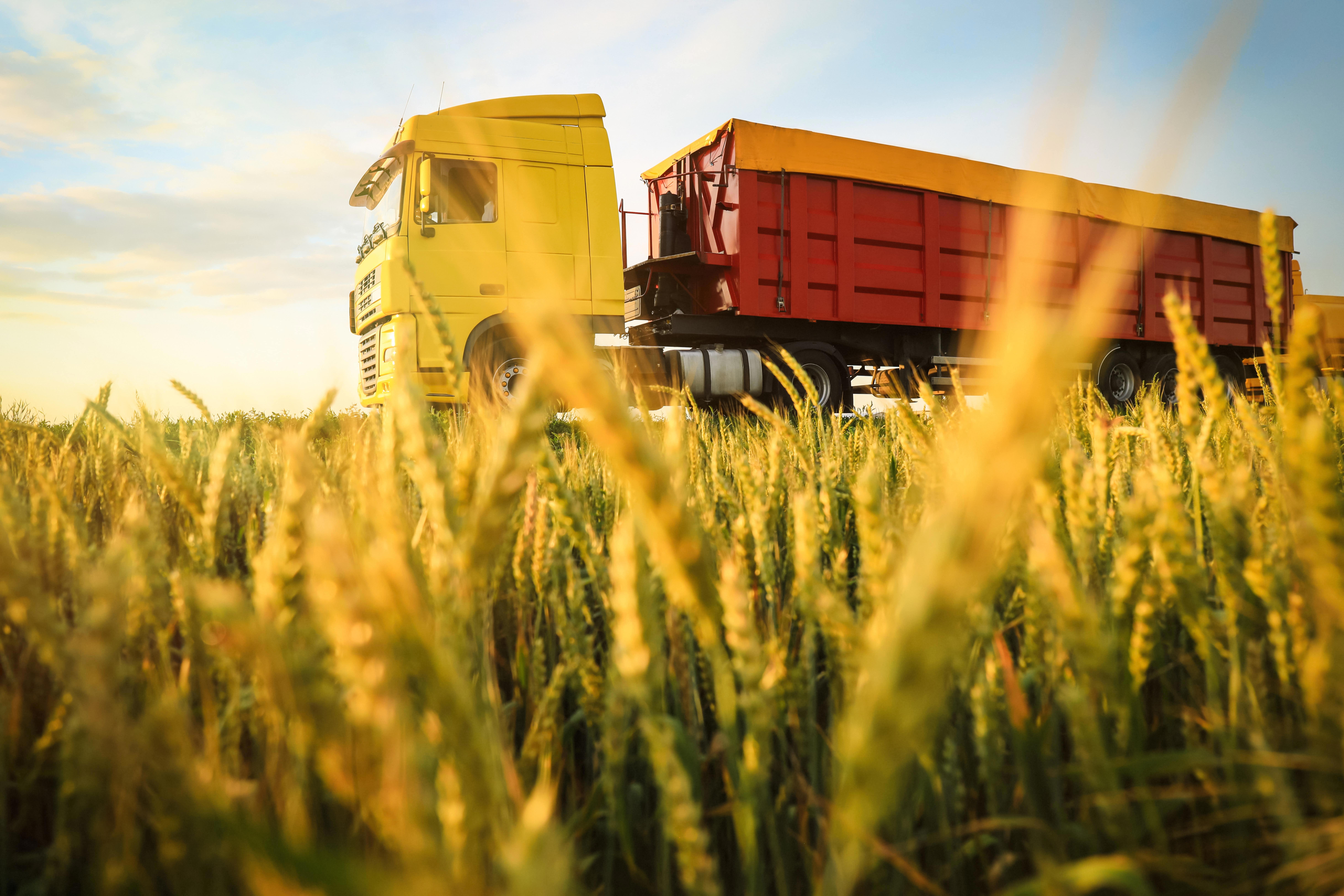 agro-truck-on-road-near-wheat-field
