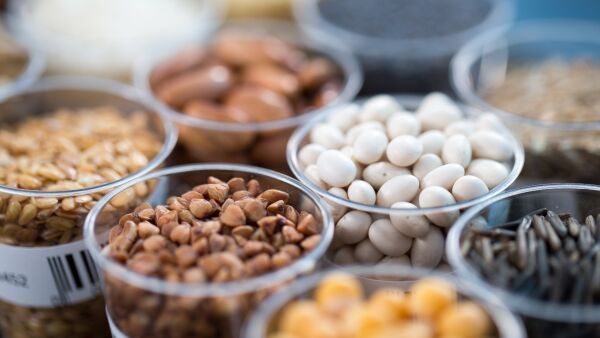 seeds