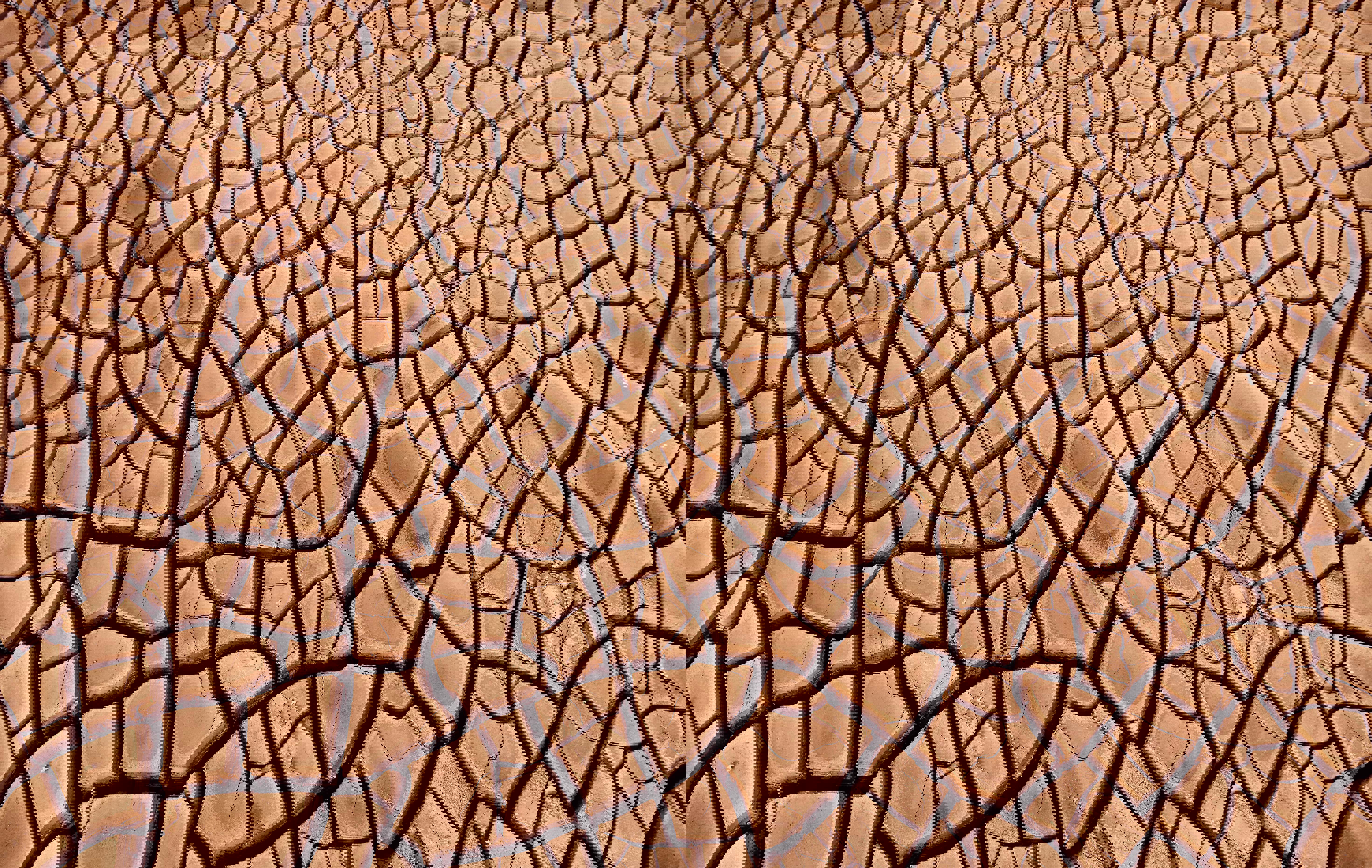 dry-soil-with-cracks-web