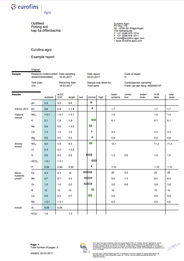example-report-diffenbachia