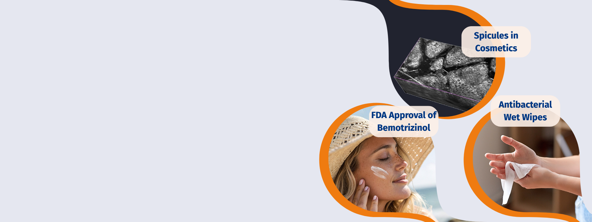 cosmetics-personal-care-newsletter-august-26