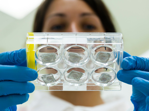 nl_august25_photoaging-explained